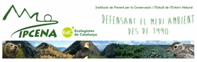 Imagen1 Ipcena