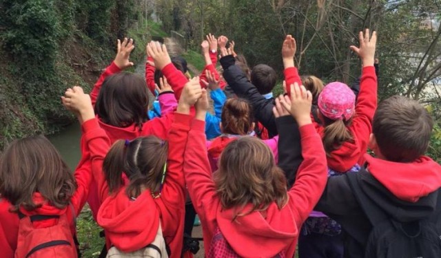 Imatge4 Agrupament Roques Albes