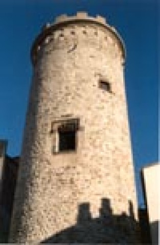 Imatge1 Fundacio Torre del Palau